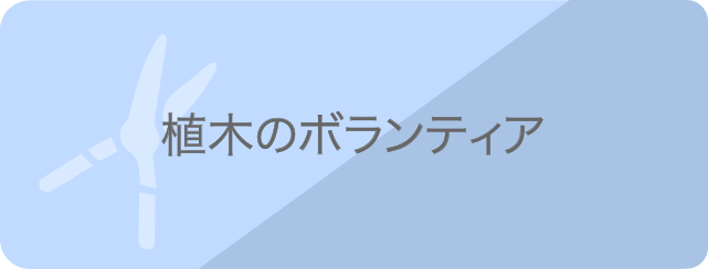 植木のボランティア